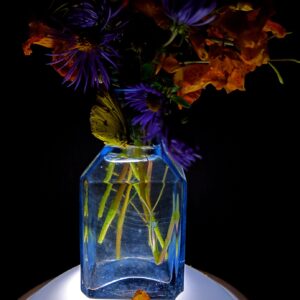 Blue Schoolhouse Jewelweed and Asters