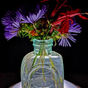 Asters and Cardinal Flowers in Carters Ink Bottle Notecards