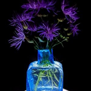 Knapweed and Blue Notecards