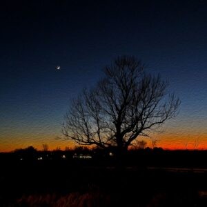 Thumbnail Moon Sunset Notecards