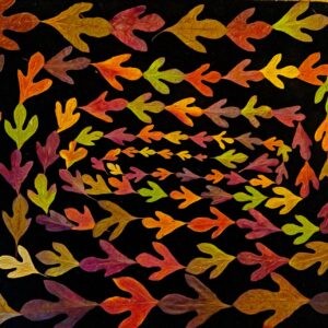 Sassafras Spiral Notecards