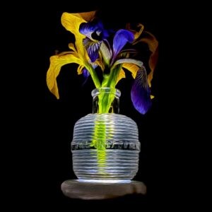 Mixed Irises in Barrel Ink Bottle Notecards
