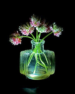 Two-toned Clover in Barrel Ink Notecards