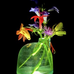 Late August Wildflowers in Igloo Ink Notecards