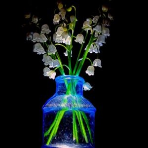 Lily of the Valley in Cornflower Blue Notecards