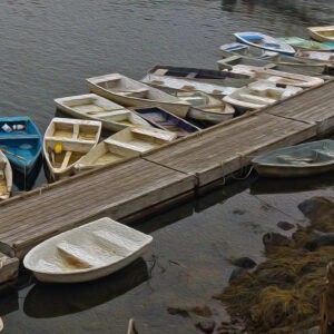 Bunch of Dories Notecards