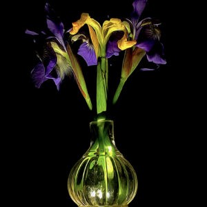 Yellow Irises in Teardrop Ink Notecards