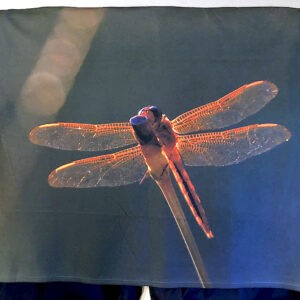 Dragonfly Blanket