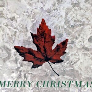 00 Red Maple on Ice Christmas Notecard