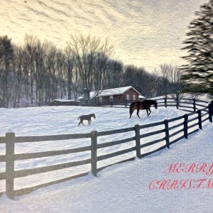 00 July in Christmas Notecard