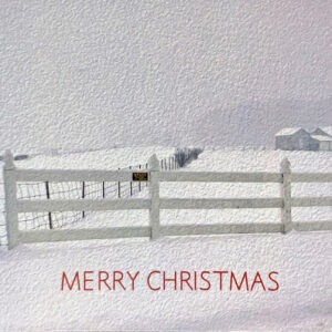 00 Pitney Meadow Farm Christmas Notecard
