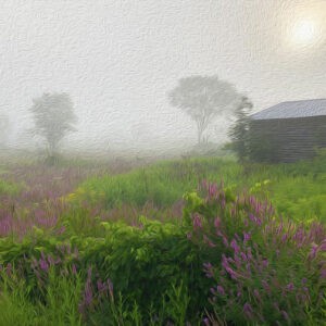 Loosestrife in Misty Field Notecards