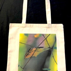Blackburnian Warbler Tote Bag
