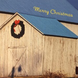Blue-roofed Shed Christmas Card Notecards