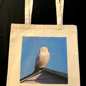 Snowy Owl Tote Bag