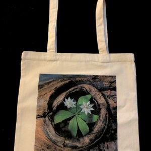 Starflowers in Log Tote Bag