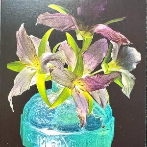 Pink Trillium in Bixby Ink Notecards