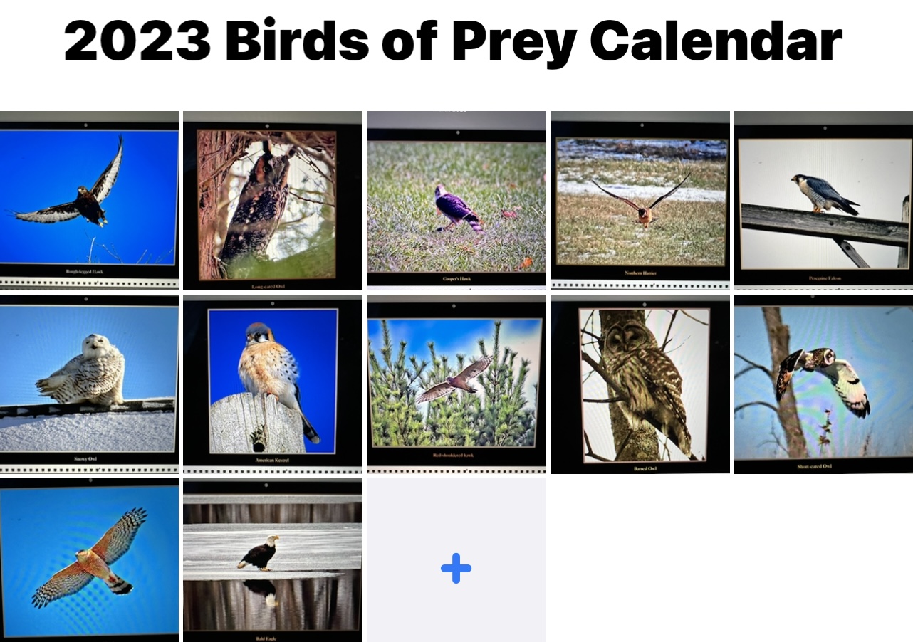 2023 Birds of Prey Calendar Ron Harrower Photography