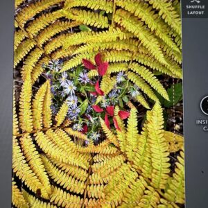 Fern and Flower Kaleidoscope Notecards