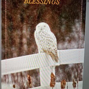 Blessings Snowy Owl Notecards