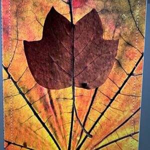 Tulip Poplar on Sycamore Notecards