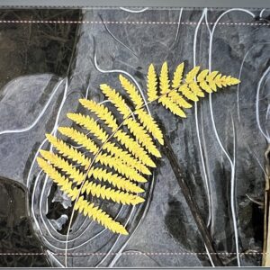 Fern on Ice Notecards