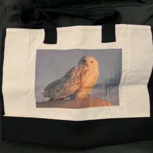 Snowy Owl Large Tote Bag - Size Large