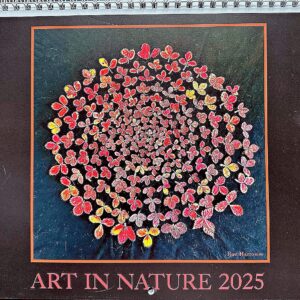 2025 Art in Nature Calendar