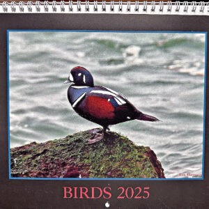2025 Birds Calendar