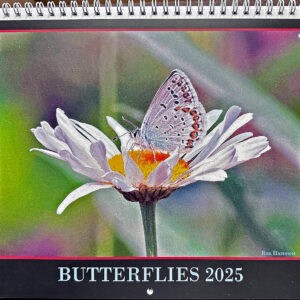 2025 Butterfly Calendar